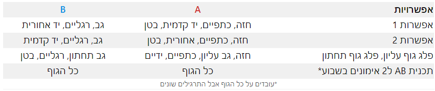 תוכנית אימונים חלוקה לשרירים